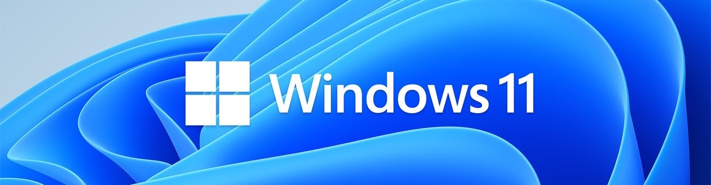 Windows 10 COA Sticker