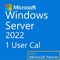 1 User Cal Windows Server 2022 6VC-04363 Code Computer Server